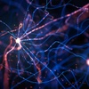 IE Bachelor in Computer Science and Artificial Intelligence