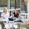 Councelor IE Header | IE University