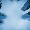 Dual Degree Master in Management + Master in Sustainability & Business Transformation | IE