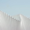 Effective Management for Security Professionals | IE Business