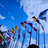A view of multiple flags waving under a bright blue sky.