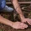 Someone's hands planting a plant