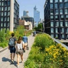 IE Center For Sustainable Cities