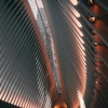 An interior view of a modern architectural structure featuring a high ceiling with symmetrical ribbed design and ambient lighting.