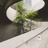 Programa Ejecutivo en Responsabilidad Corporativa | IE Exponential Learning