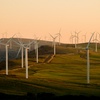 wind turbines in the rural area