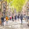 Why partner with us - Center for Sustainable Cities | IE School of Architecture and Design