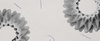 Two textured circular shapes on a light background with delicate lines.