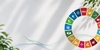 The image features a circular arrangement of colorful icons representing various sustainable development goals against a light background.