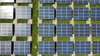solar panels in the gorund