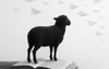 A black sheep stands on an open book against a backdrop of paper airplanes.