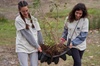 IE University Advances Waste Reduction in 2024