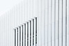  Dual Degree Master in Management + Master of Laws (LL.M.)
