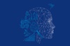 IE Sustainability Mindset | IE Lifelong Learning