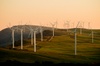 wind turbines in the rural area