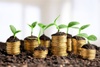 The image shows small green plants growing from stacks of coins, symbolizing financial growth and sustainability.