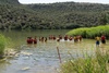 A group of people wearing life jackets enjoying a day by a calm lake surrounded by greenery.