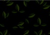 An image featuring a pattern of green leaves on a black background.