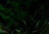 Abstract swirling patterns in dark green and black colors.