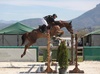 A rider on a horse jumping over a hurdle at an outdoor equestrian event.