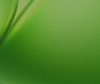 A smooth and vibrant green abstract image.