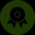 A simple black and white icon of a medal or award.
