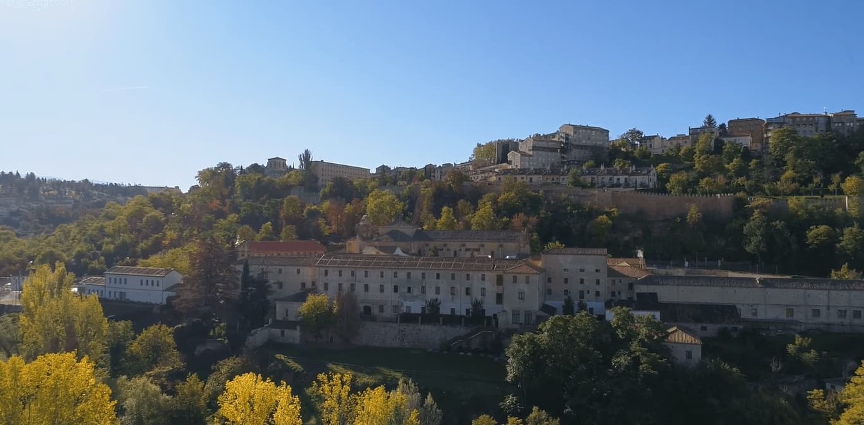 A panoramic view of a town on a hillside with autumn trees in the foreground.