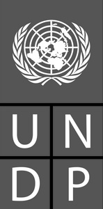 The image features the logo of the United Nations Development Programme (UNDP).