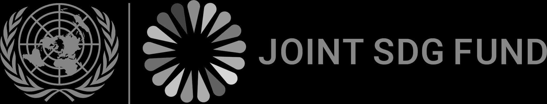 A logo featuring the UN emblem alongside the text 'JOINT SDG FUND'.