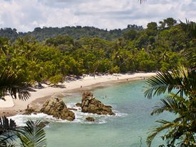 A scenic view of a tropical beach with lush greenery and clear blue waters.