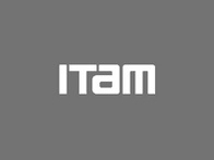 Image shows the acronym 'ITAM' in white text on a gray background.