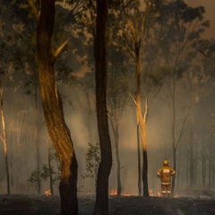 The Future of Climate | IE Center for the Governance of Change