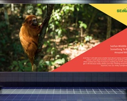 Seiña – Branding a country | IE School of Architecture and Design