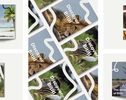 Bititi – Branding a country | IE School of Architecture and Design