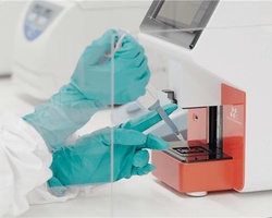 A laboratory technician is using a pipette with a testing device.