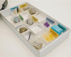 A collection of mineral specimens displayed in a tray with labels.