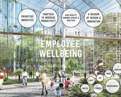 La Milla Verde | IE School of Architecture and Design