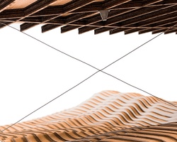 Time to Grow | IE School of Architecture and Design