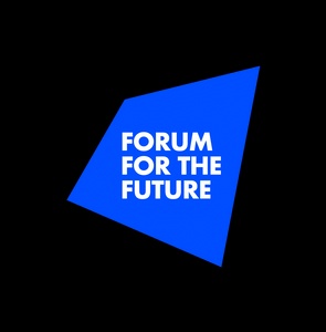 A bold blue geometric shape with the text 'FORUM FOR THE FUTURE' in white.