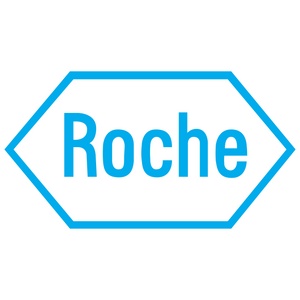 The image shows the logo of Roche, displayed in blue text inside a hexagonal border.