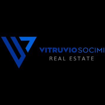 Vitruvio Socimi Real State - Logo