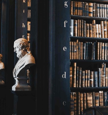 A row of classical bust sculptures positioned before shelves filled with aged books inside a historic library.