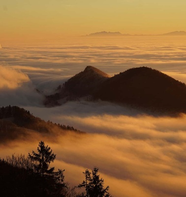 A serene mountainous landscape enveloped in a sea of clouds during a golden sunrise.