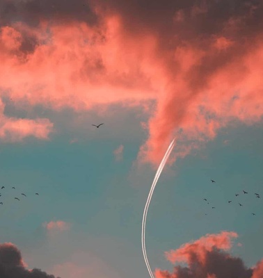 A vivid sky at dusk featuring pink clouds and a curving contrail, with birds flying and a solitary bird closer to the viewer.