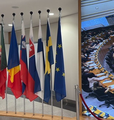 The image depicts a display of various national flags alongside a large assembly in a conference setting.