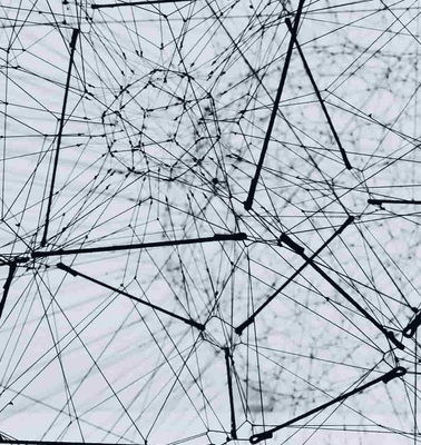 An abstract network of connected lines and nodes with a complex geometric structure on a light gray background.