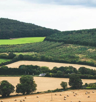 A panoramic view of a lush landscape featuring fields, trees, and hills under a partly cloudy sky.