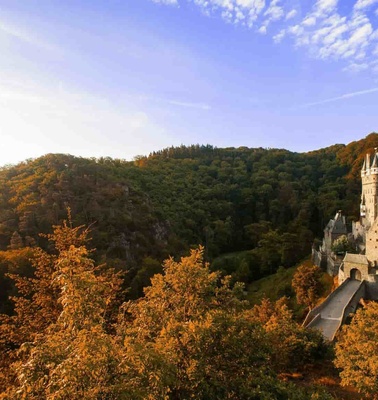 A scenic view of a castle nestled among autumn-colored trees in a forested area.