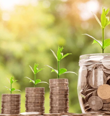 A jar full of coins with plants sprouting from it and progressively taller stacks of coins with small plants on top, set against a blurred green background.