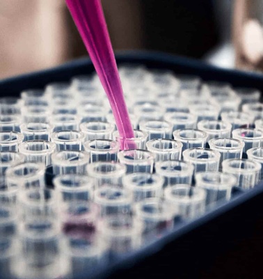 A close-up image of a pipette dispensing a liquid into one of many small wells in a laboratory tray.